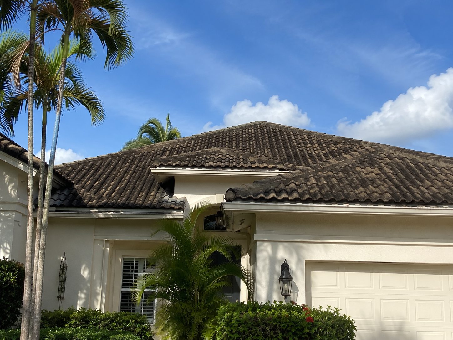 The same tile roof before cleaning — heavy black algae streaks